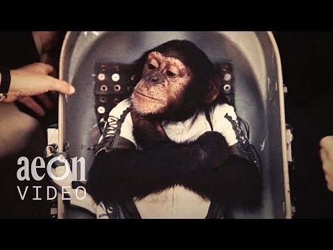 The untold story of the animals we sent into space | The Conquest of Space