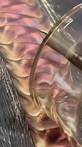 18K views · 317 reactions | Tungsten Inert Gas TIG Welding https://bit.ly/3PIb05l | Welding of Welders | Facebook