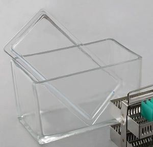 [Hot Item] Medical Lab Equipments Staining Jar Tissue Embedding Base Mold