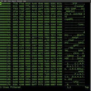 The 'xxd' Command In #linux | Robert Elder Software Inc.