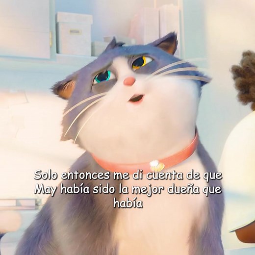Un gato con suerte: resumen y final explicado