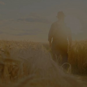 Smarte und sichere ABB-Antriebstechnik für die grösste Mühle der Schweiz.🍞🌱 Weisst du, wie viele Tonnen Getreide Swissmill jährlich dank energieeffizienter Technologie von ABB im Herzen von Zürich verarbeitet? 200'000! Erfahre mehr im Video oder in unserer Webstory 👉 shorturl.at/pCIM3 | ABB