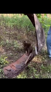 Rescuing a Forgotten Mack Oil Field Truck! | Soccer Addict