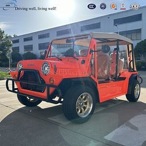 [Hot Item] Gasoline Engine Gas Powered Mini Moke Car