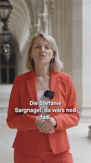 ⭐🇪🇺Warum unsere Spitzenkandidat*innen zur EU-Wahl Andreas Schieder und Evelyn Regner #Wien lieben und was sie aus Wien sofort umsetzen würden ♥️🎤. #WienerWeg | SPÖ Wien