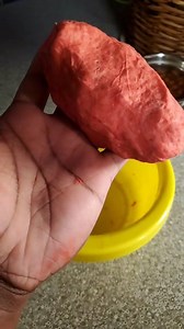 The BEST homemade dough bait! #fishing | Everett Mathis