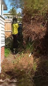 #clean #cleaning #cleaninghouse #cleaningteam #housekeepingteam #deepcleaning #satisfyingcleaning #cleaningasmr #cleanwithme #satisfying #cleaningmotivation #cleaninghacks #cleaningtips #cleaningszn #cleanfreshhype #cleanclearconfident #fyp #freecleaning #motivation #viralpost #ASMRCommunity | Lawn Care Free