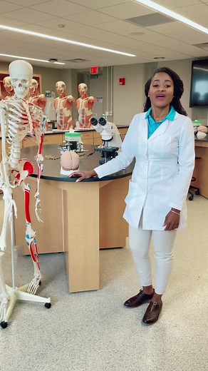 LSAMP Summer Bridge Program at Sinclair College