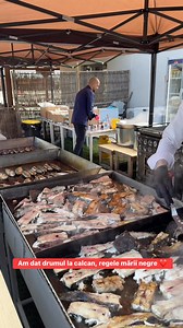 50K views · 425 reactions | ZooM Beach on Reels | Facebook