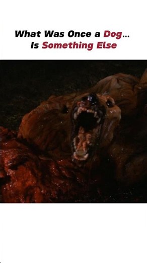 What Was Once a Dog… Is Something Else |Like & Sub| #thething #culthorror #viralmovieclip #alien
