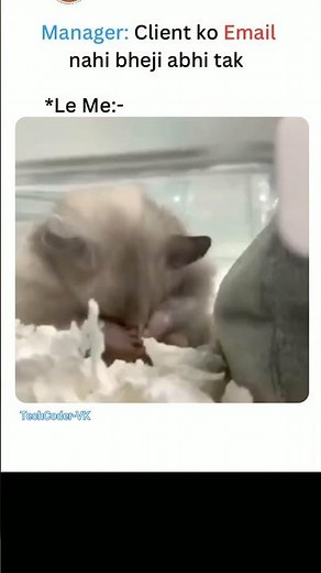 😆😁#programming #webdevelopment #project #c++ #javascript #shortvideo