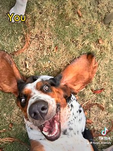 1.3K views · 45 reactions |  No resting bitch faces today please, just happy Friday smiles.  Happy Friday from Delilah… 﫶 If she can do it then so can you! | Animal Flower Cave | Facebook