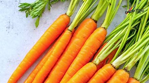 Agape Processing is a cosmetics company founded in 2012. The business...