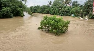 Howrah river water level remains high. Flood situation is concerning. TIWN Video June 18, 2022 | Tripurainfoway