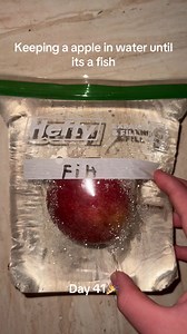 #sciencefun #viralchallenge #pleasedontflop #appleexperiment #appleinwater @Albert Einstein 5.0