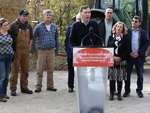 Morneau says he'll set up a blind trust, divest Morneau Shepell shares