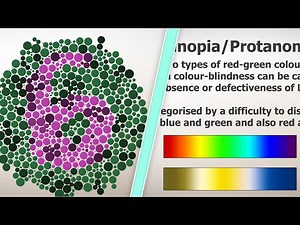 Do You Have A Colour Deficiency?