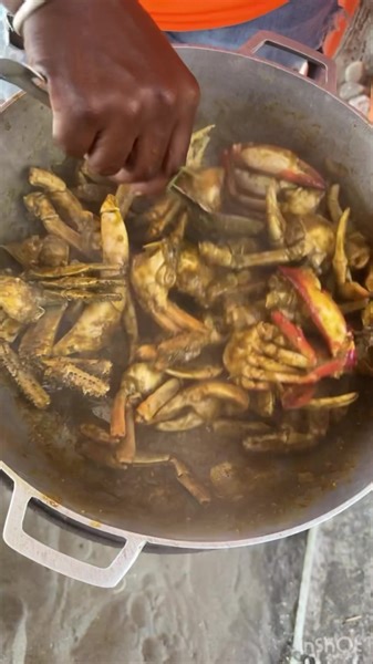 Mud Crab cooked in its own fat, it doesn’t get any better than that! #bluegabe #mudcrab #youtubechannel #OutdoorLiving | BlueGabe