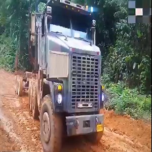 109K views · 3.2K reactions | Heavy Wood Truck, Amazing Heavy Equipment Operator | Mysterious Aliens | Facebook