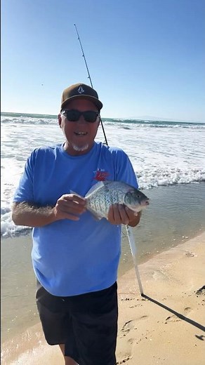 🎣Surf fishing at Bolsa Chica Huntington Beach #californiabeach #shortsviral #fishing #surffishing
