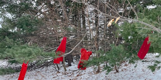 NMU students raise awareness for missing, murdered Indigenous women