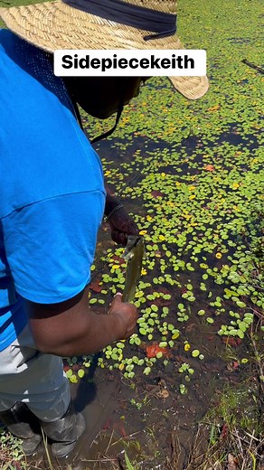 35K views · 236 reactions | He gone back home #spk | Corey Alfred | Facebook