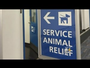 Newton Mom Outraged She Was Sent To "Pet Relief Area" To Pump Breast Milk
