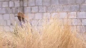 Bashi Mumbi muleichindika 😂 | Zambian youths