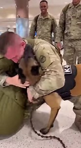 That first step back was lighter 🥹🐶🇺🇸 Because home was waiting. #MilitaryReunion #DogLove #HeroWelcome #Heartwarming | Paws A Soldier
