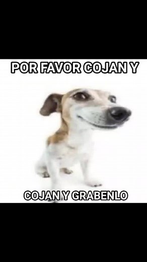 Cuentas recomendadas