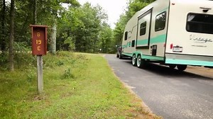 CURT 1/4 in. Clevis Grab Hook (2,600 lbs.) 21579