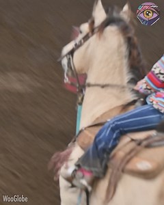 7.9K views · 26 reactions | Une jeune fille et son cheval présentent un spectacle de course de tonneaux exceptionnel. | BRICO ADOS | Facebook