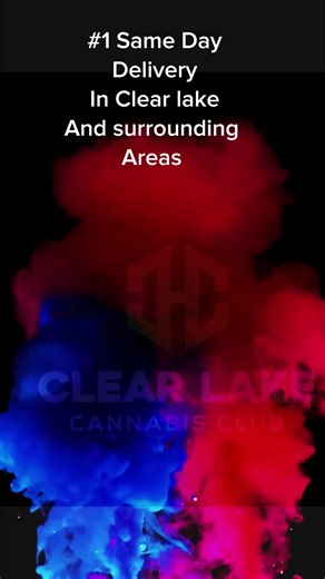 clearlakecannabisclub on TikTok