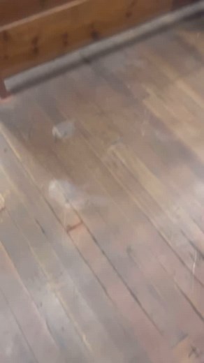 👀 Exciting developments are happening at the Route 66 Museum in Kingman! Stay tuned for more Route 66 Centennial updates… 🥳 #loveaz66 #explorekingman #route66 #getyourkicks #geturkicks #explorearizona | Route 66 Association of Arizona