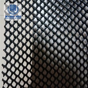 [Hot Item] Plastic Extruded Net/ Pipeline Mesh/ Rockshield Mesh