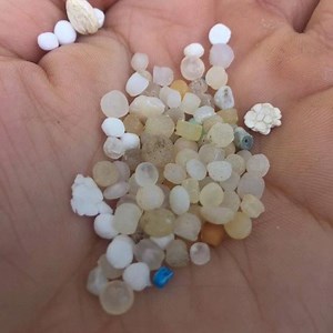 AUSMAP is a nation-wide citizen science initiative for surveying shorelines to collect data on microplastics in Australian aquatic environments. ⁣ ⁣ Take 3 Co-Founders Roberta Dixon-Valk and Amanda Marechal will be presenting at the AUSMAP Training Day on Thursday 28th March on the Central Coast. ⁣ ⁣ Learn about microplastics and participate in a training session on the standardised field sampling methodology for collecting, sorting and identifying microplastics.⁣ ⁣ Sign up in the link. https://