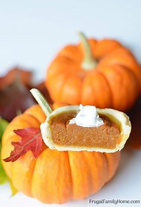 Easy Mini Pumpkin Pies