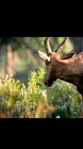 146K views · 3.9K reactions | What's wrong with that guy? Simba said to his friends Timon and Pumba #fypシ゚viralシfypシ゚viralシalシ #fypシ゚ #viralchallenge #thelionking #mufasa #lioncubs #simba #lionking | SM Global Prince Film Production | Facebook