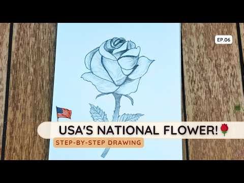 How to Draw a Rose: USA's National Flower | World Flowers Collection #6