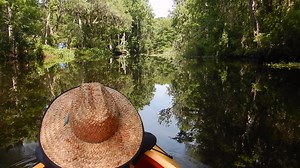 Amelia Island Kayak Excursions on Reels