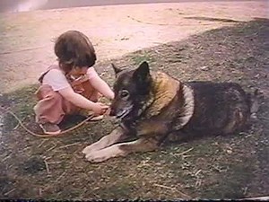 Video 4 Calming Signals