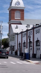 5.7K views · 2.5K reactions | Even the dogs in Key West know how to ride in style (wait for it…). - #sloppyjoes #captaintonys #keywest #duvalstreet | Backyards of Key West Gallery | Facebook