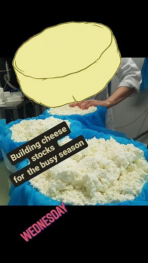 12 reactions | We've been working hard, making and maturing cheese for the upcoming busy season..#sheepscheese #cheese #Rockfield #pasturereared #grassfed #Irish #Irishcheese #artisan #A2protein #delicious #semihard #naturalrind #VelvetCloud #foodporn #foodblogger | Velvet Cloud | Facebook