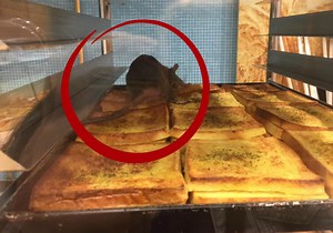 Bakery outlet in Mid Valley ordered to close after pictures of rat on bread went viral | Coconuts
