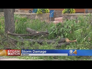 Winds Blamed For Downed Trees In Boulder