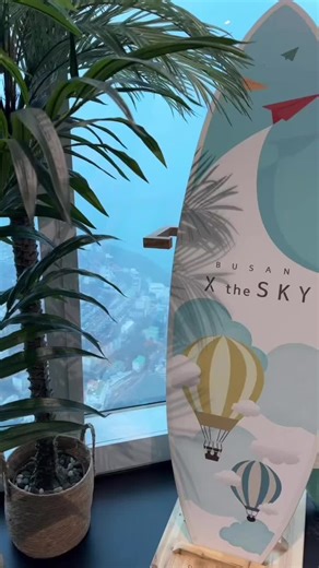 shelliebeans888 on TikTok