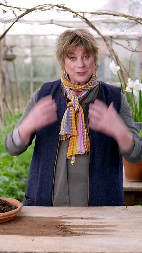 4.7K views · 55 reactions | “Pinching out your plants will make them stronger and more productive growers and flowerers, this system helps to promote quick root growth and germination” - @sarahravensgarden In this lesson, Sarah will show you the right way to pinch your plants and how to move them into bigger pots. ⁠ https://www.createacademy.com/courses/sarah-raven | Create Academy | Facebook