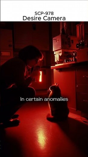 Desire Camera, SCP-978