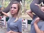 Woman posing for pic with elephant gets trunk to the face