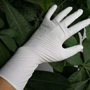 [Hot Item] 100% Natural Rubber Disposable Latex Glovees Powder / Powder Free